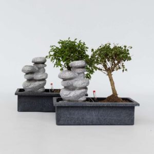 Bonsaiboom Met Watersysteem - 2 Stuks - Zenstenen